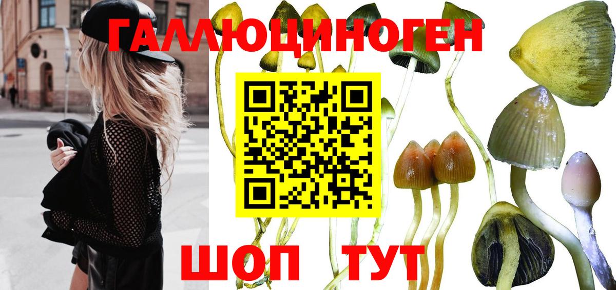 Псилоцибиновые грибы ЛСД Камень-на-Оби