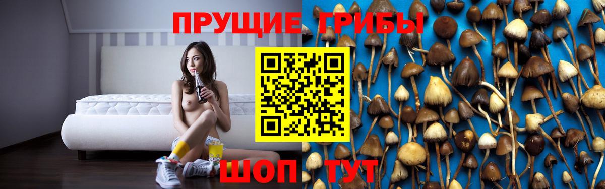 Псилоцибиновые грибы MAGIC MUSHROOMS  Вход с VPN  Камень-на-Оби 